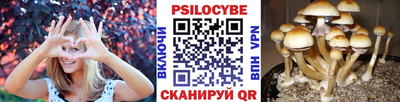 Псилоцибиновые грибы MAGIC MUSHROOMS  Новопавловск 